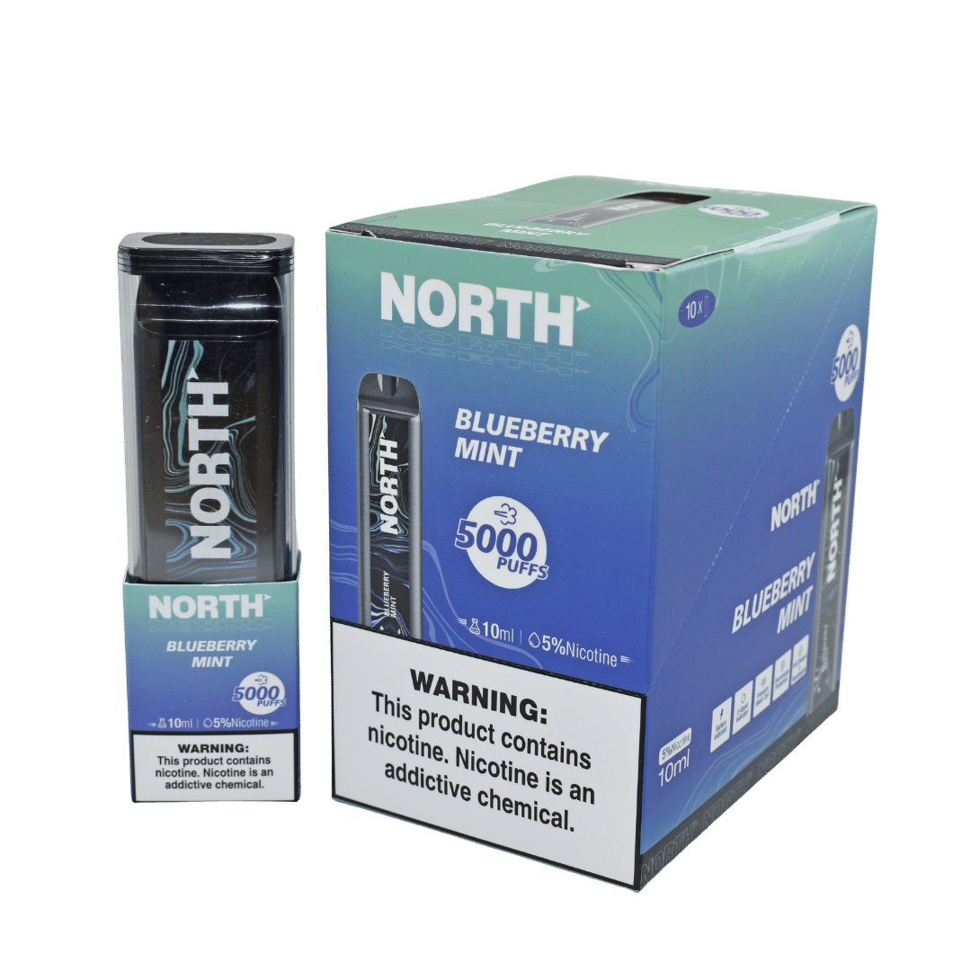 North 10ML 5000 Puff Rechargeable Disposable Vape - Blueberry Mint (Sleeve of 10) 1 North Blueberry Mint unitdisplay