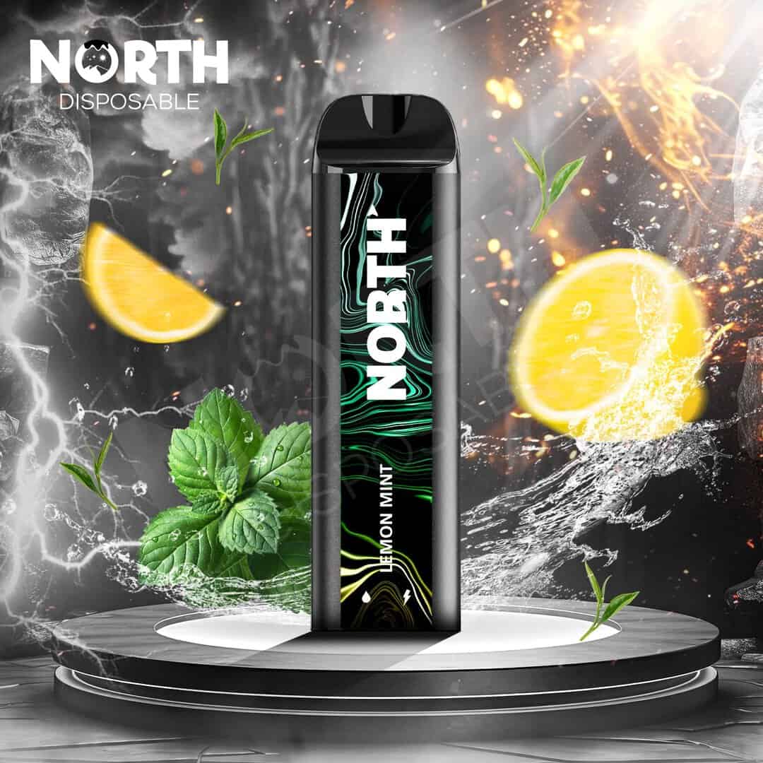 North 10ML 5000 Puff Rechargeable Disposable Vape - Lemon Mint (Sleeve of 10) 1 North5000DisposableLemonmint