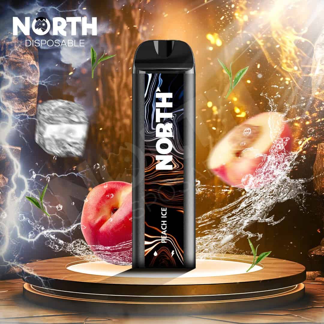 North 10ML 5000 Puff Rechargeable Disposable Vape - Peach Ice (Sleeve of 10) 1 North5000DisposablePeachIce