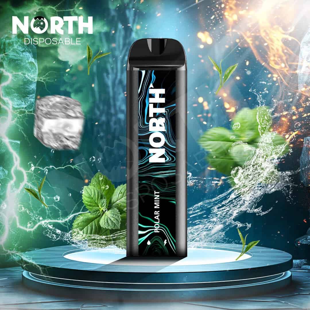 North 10ML 5000 Puff Rechargeable Disposable Vape - Polar Mint (Sleeve of 10) 1 North5000DisposablePolarMint