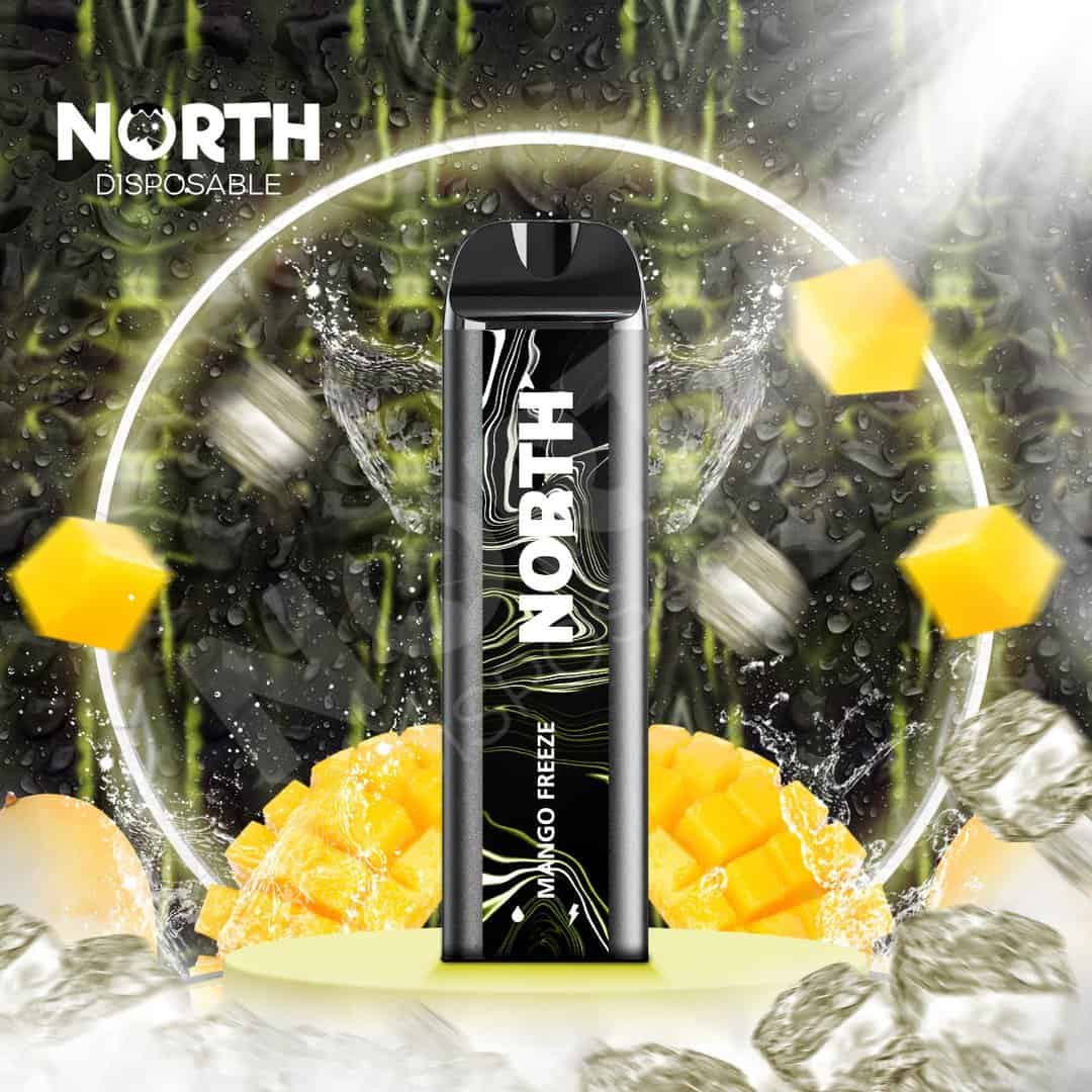 North 10ML 5000 Puff Rechargeable Disposable Vape - Mango Freeze (Sleeve of 10) 1 mango freeze