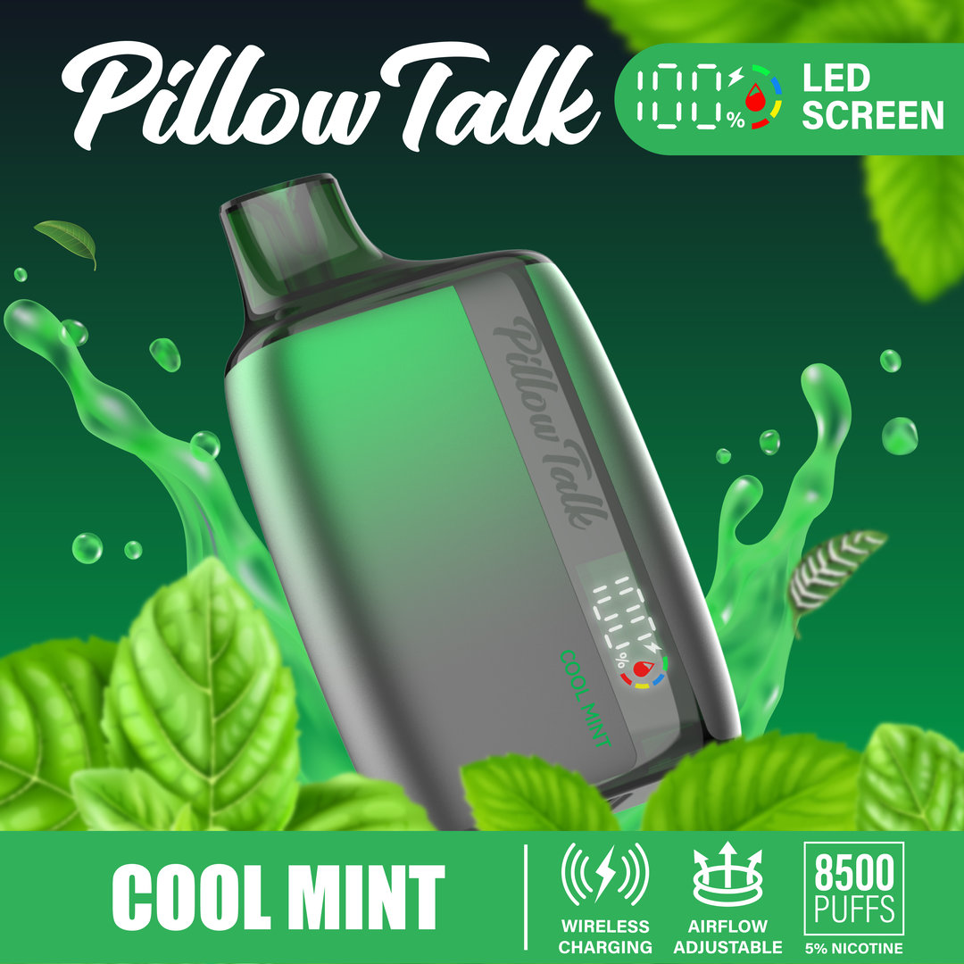Pillow Talk 13ML 8500 Puffs Disposable Vape - Cool Mint (Sleeve of 10) 1 cool mint 2